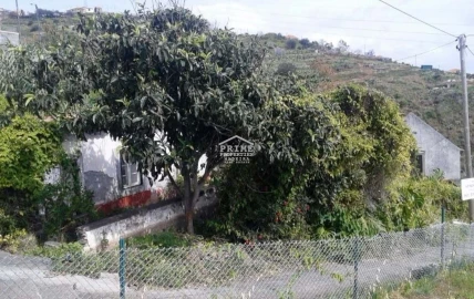 Terreno para Venda em Caniço