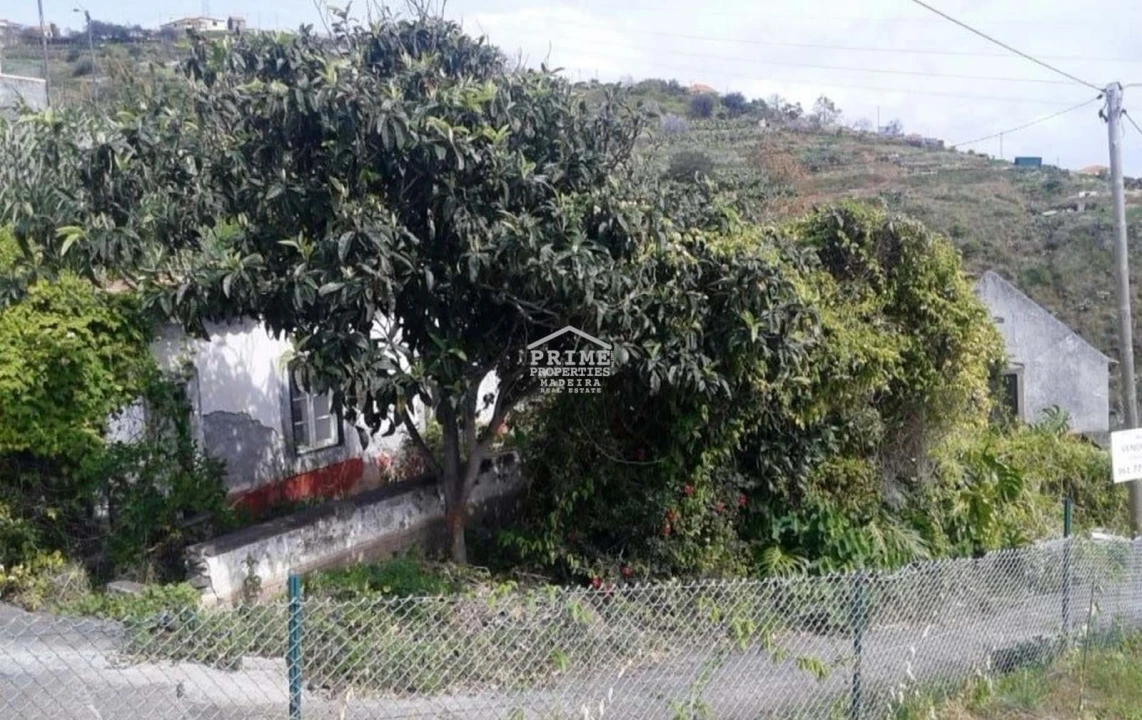 Terreno para Venda em Caniço Foto 5