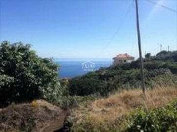 Terreno para Venda em Santa Cruz