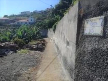 Terreno para Venda em Santa Cruz