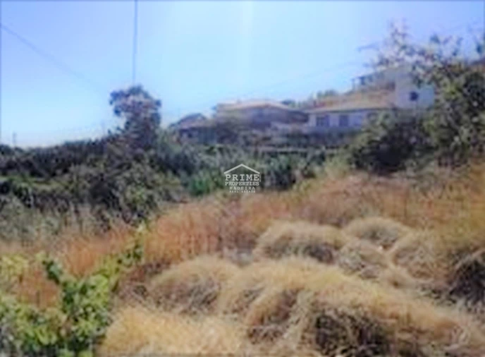 Terreno para Venda em Santa Cruz Foto 5