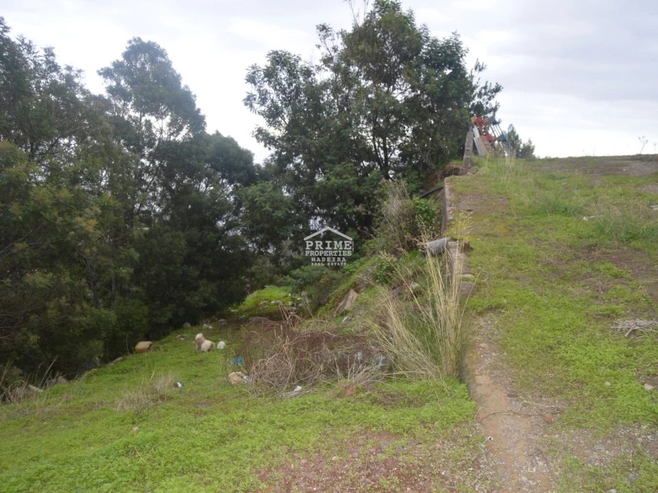Terreno para Venda em Santa Cruz Foto 4