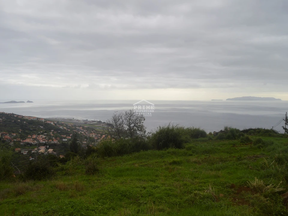 Terreno para Venda em Santa Cruz Foto 1