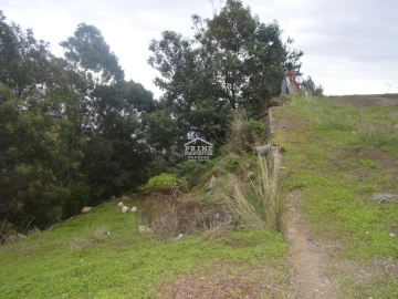 Terreno para Venda em Santa Cruz