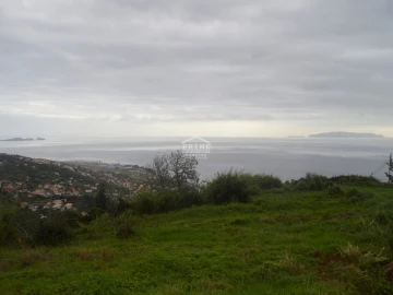 Terreno para Venda em Santa Cruz