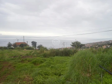 Terreno para Venda em Santa Cruz