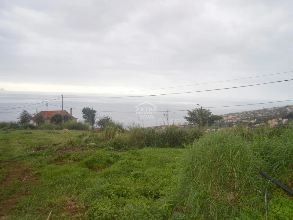 Terreno para Venda em Santa Cruz Foto 7