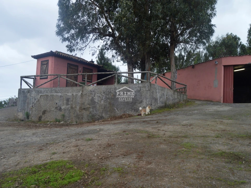 Terreno para Venda em Santa Cruz Foto 2