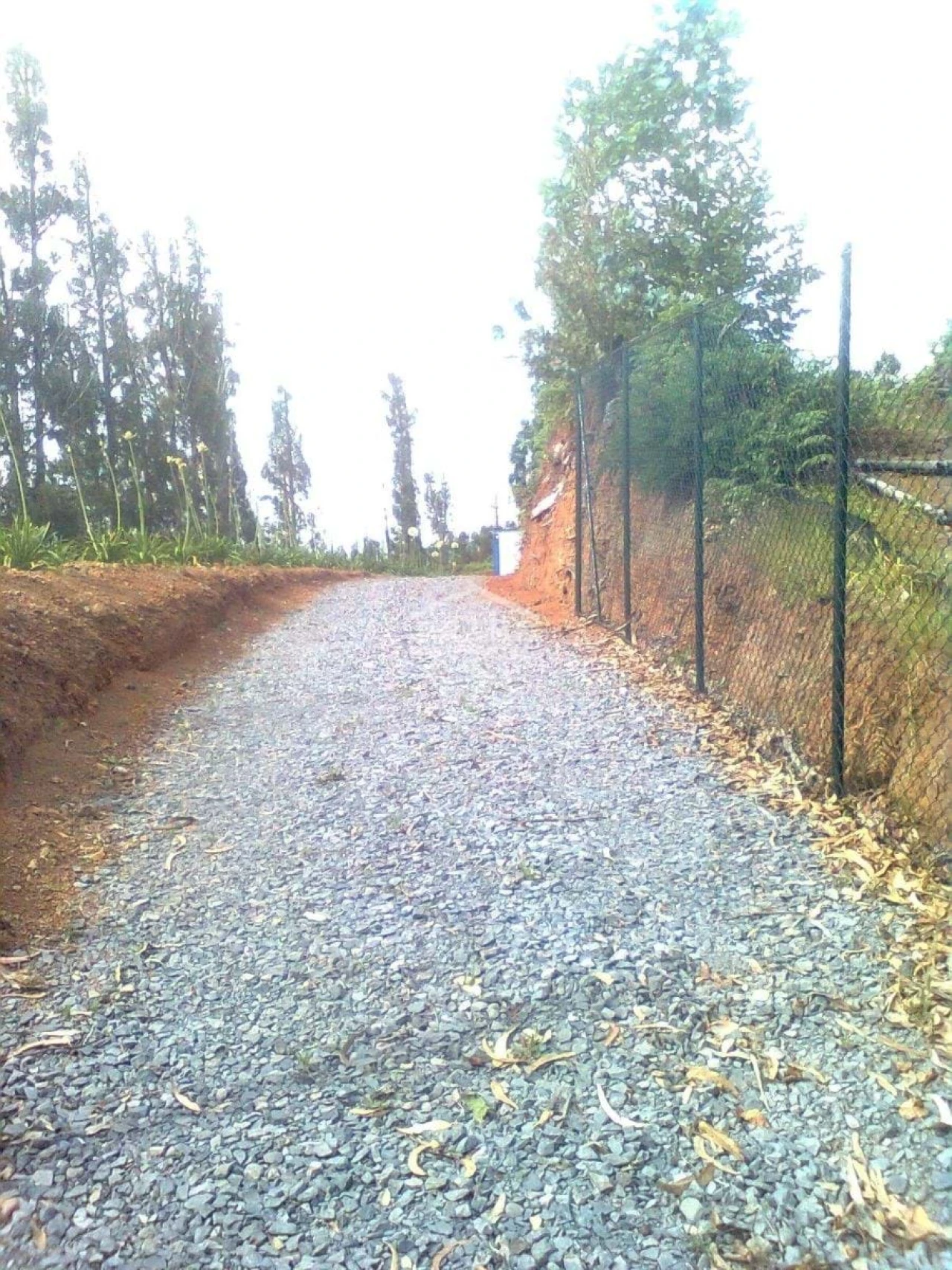 Terreno para Venda em Arco da Calheta Foto 3