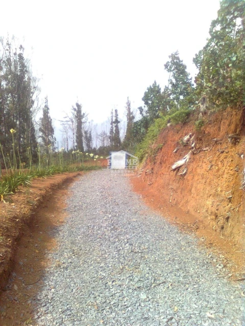 Terreno para Venda em Arco da Calheta