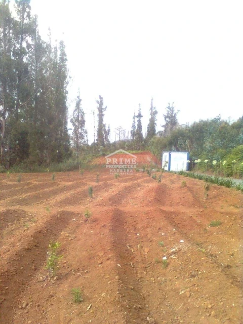 Terreno para Venda em Arco da Calheta