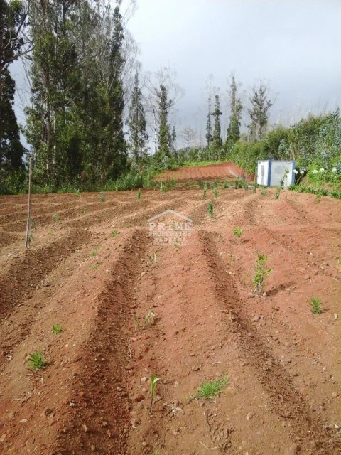 Terreno para Venda em Arco da Calheta