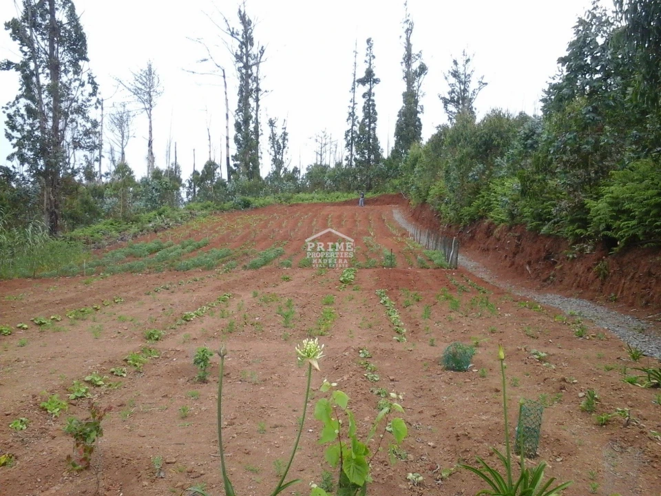 Terreno para Venda em Arco da Calheta Foto 1
