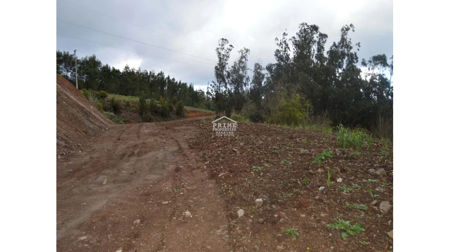 Terreno para Venda em Agua de Pena Foto 5