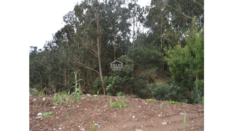 Terreno para Venda em Agua de Pena Foto 4