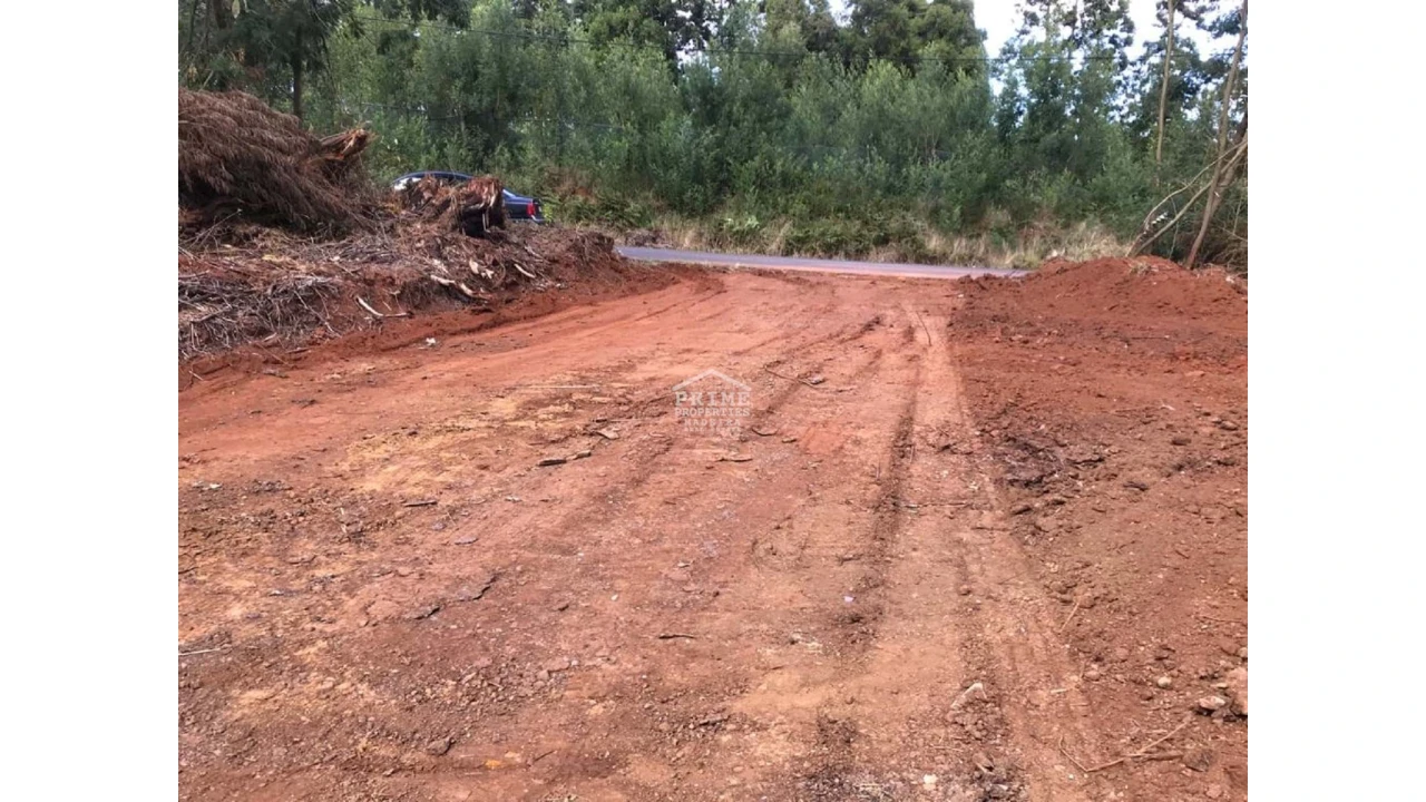 Terreno para Venda em Agua de Pena Foto 3