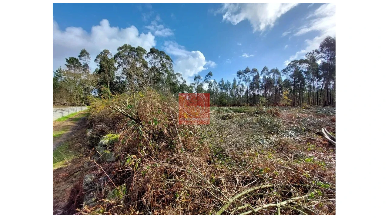 Terreno para Venda em Barroselas e Carvoeiro Foto 5