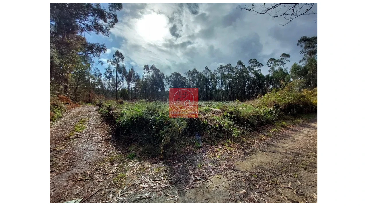 Terreno para Venda em Barroselas e Carvoeiro Foto 2