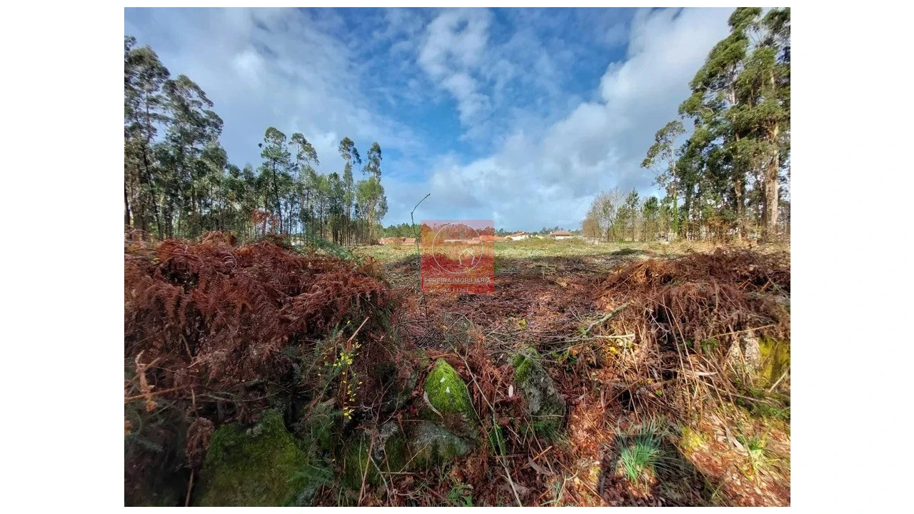 Terreno para Venda em Barroselas e Carvoeiro Foto 4