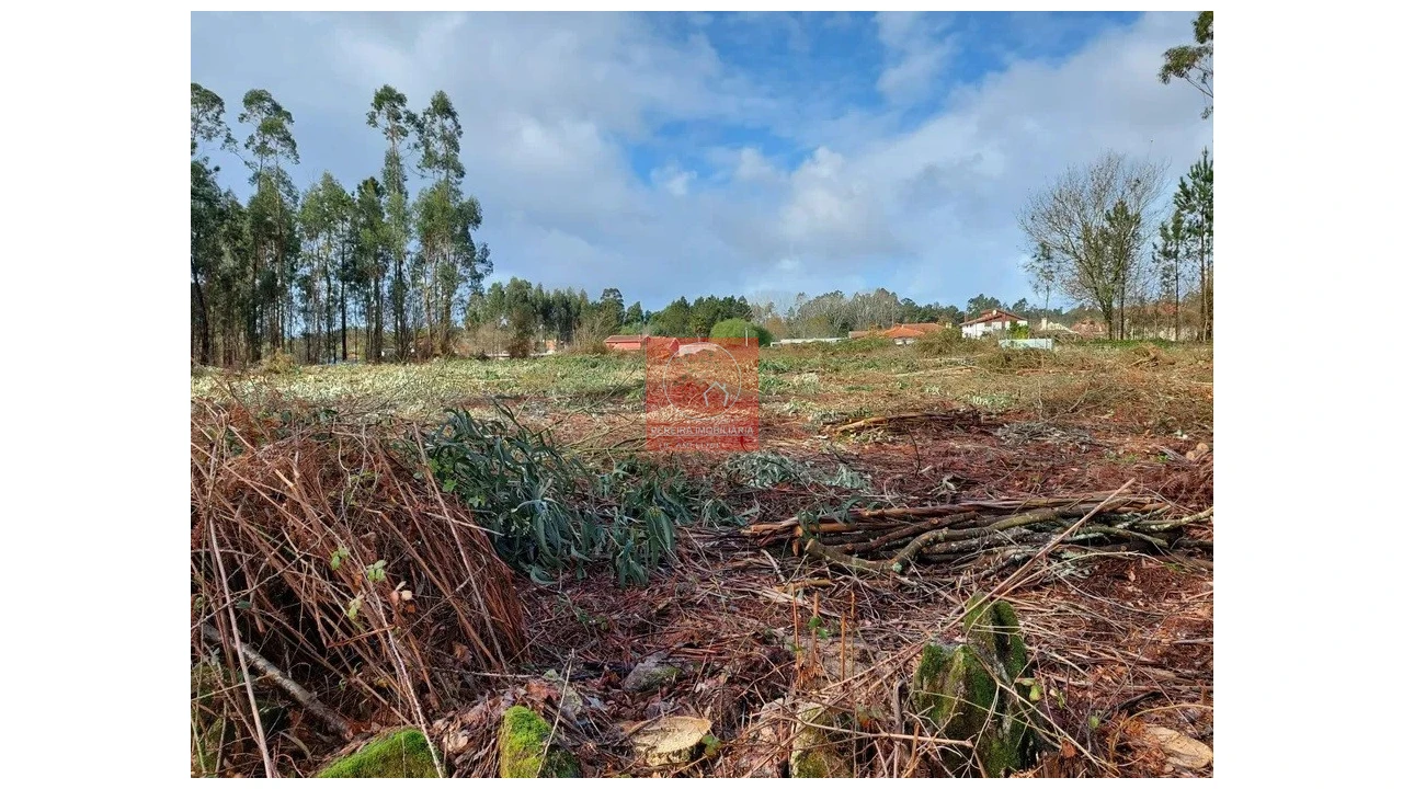 Terreno para Venda em Barroselas e Carvoeiro Foto 3