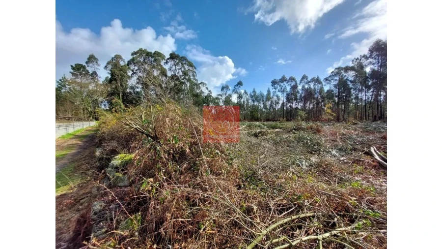 Terreno para Venda em Barroselas e Carvoeiro Foto 5