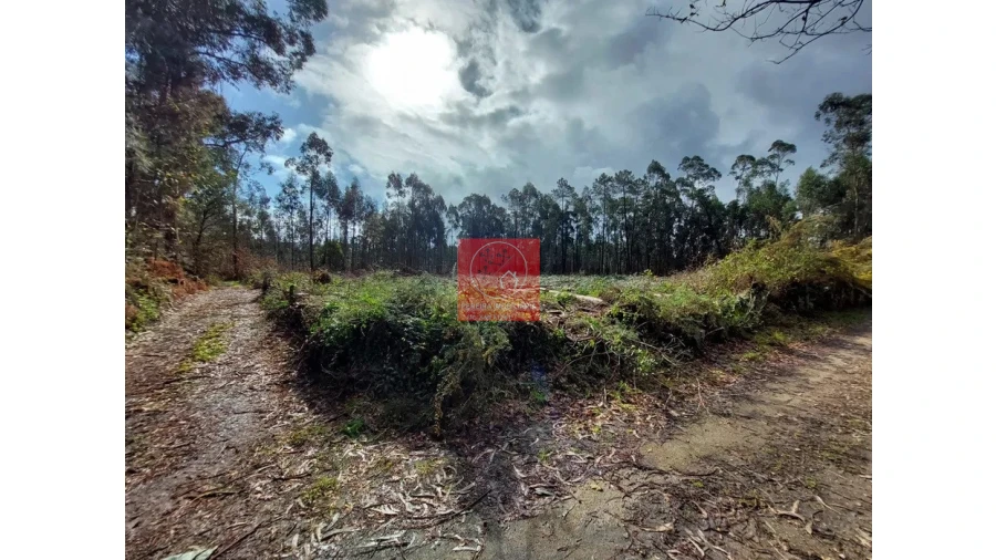 Terreno para Venda em Barroselas e Carvoeiro Foto 2