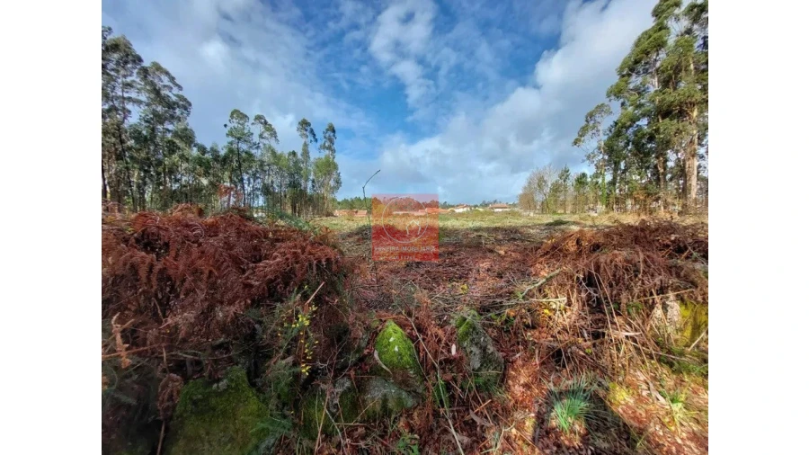 Terreno para Venda em Barroselas e Carvoeiro Foto 4
