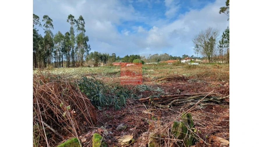 Terreno para Venda em Barroselas e Carvoeiro Foto 3