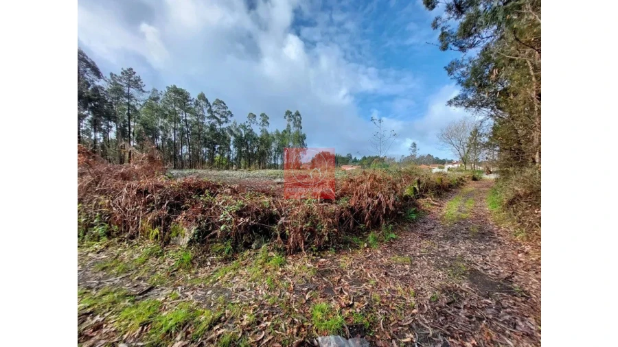 Terreno para Venda em Barroselas e Carvoeiro