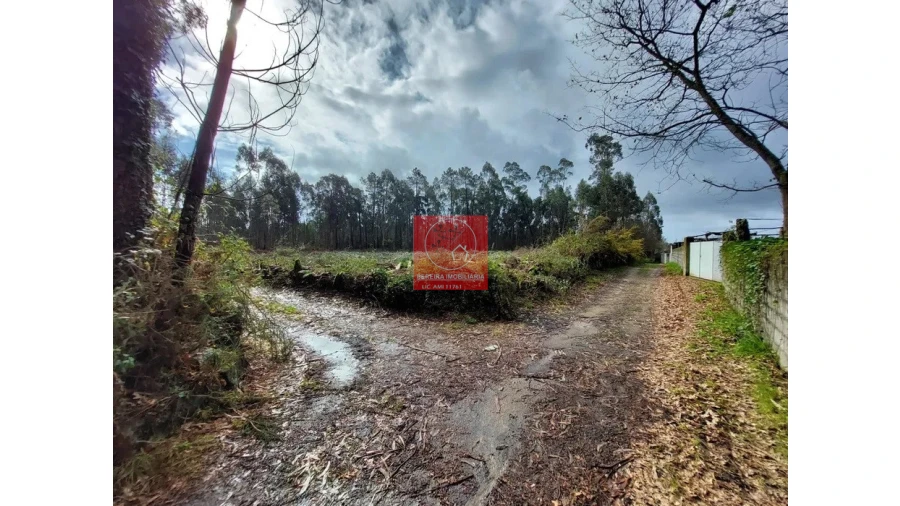Terreno para Venda em Barroselas e Carvoeiro Foto 6