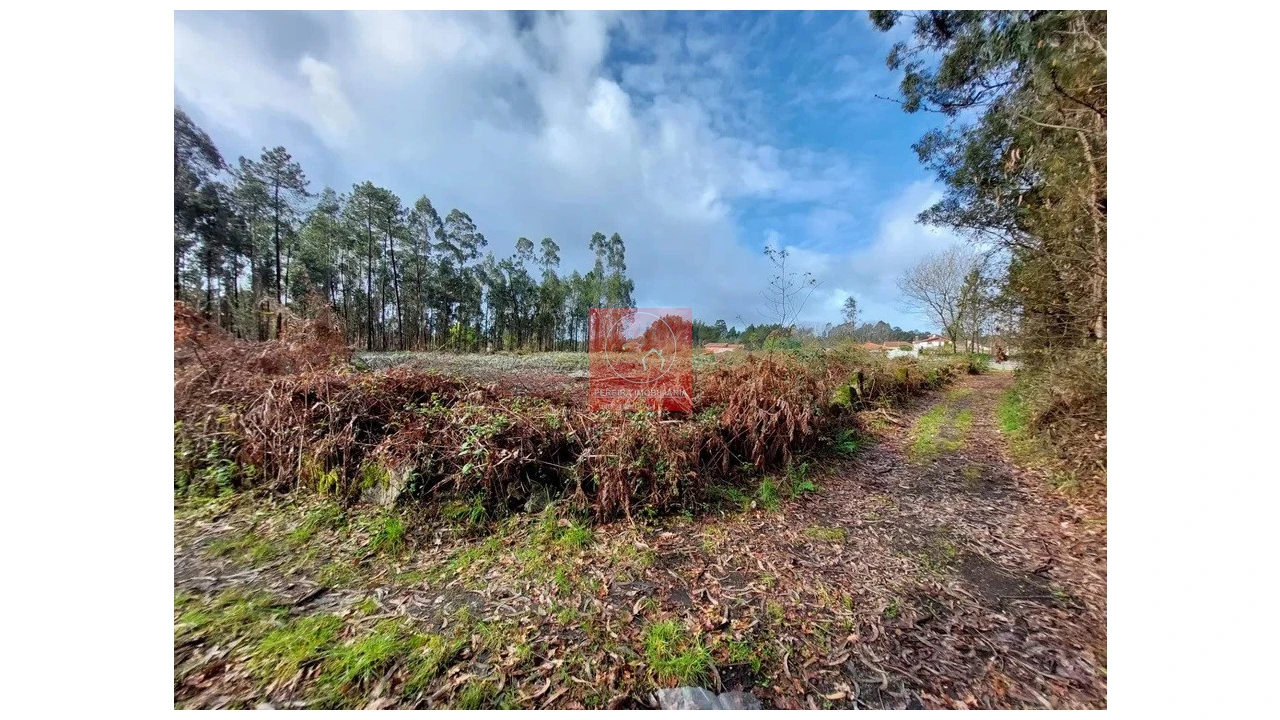 Terreno para Venda em Barroselas e Carvoeiro Foto 1