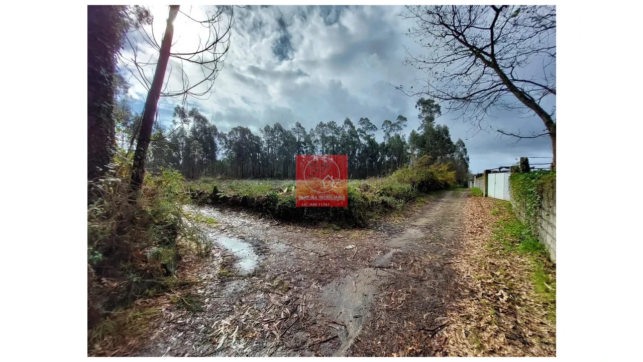 Terreno para Venda em Barroselas e Carvoeiro Foto 6