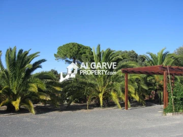 Moradia T7 para Venda em Ferreira do Alentejo e Canhestros