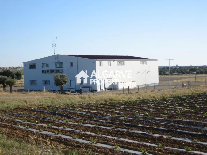 Moradia T7 para Venda em Ferreira do Alentejo e Canhestros Foto 18