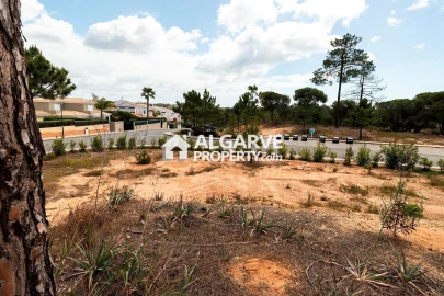 Terreno para Venda em Almancil