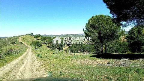 Terreno para Venda em São Bartolomeu de Messines