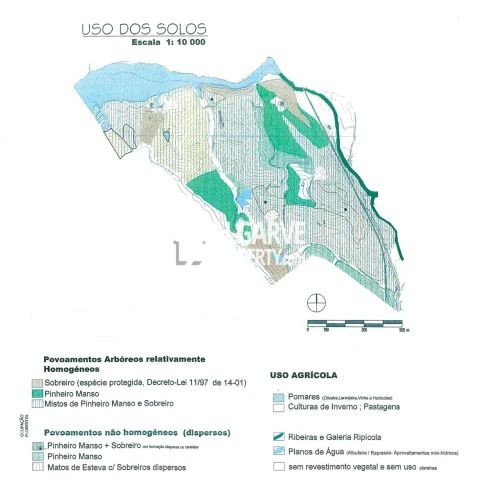 Terreno para Venda em São Bartolomeu de Messines