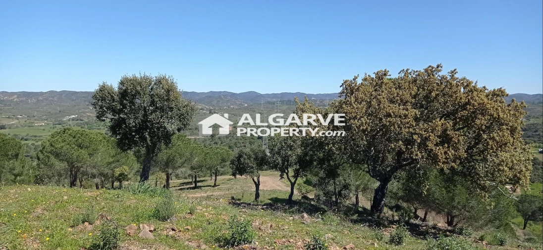 Terreno para Venda em São Bartolomeu de Messines Foto 10