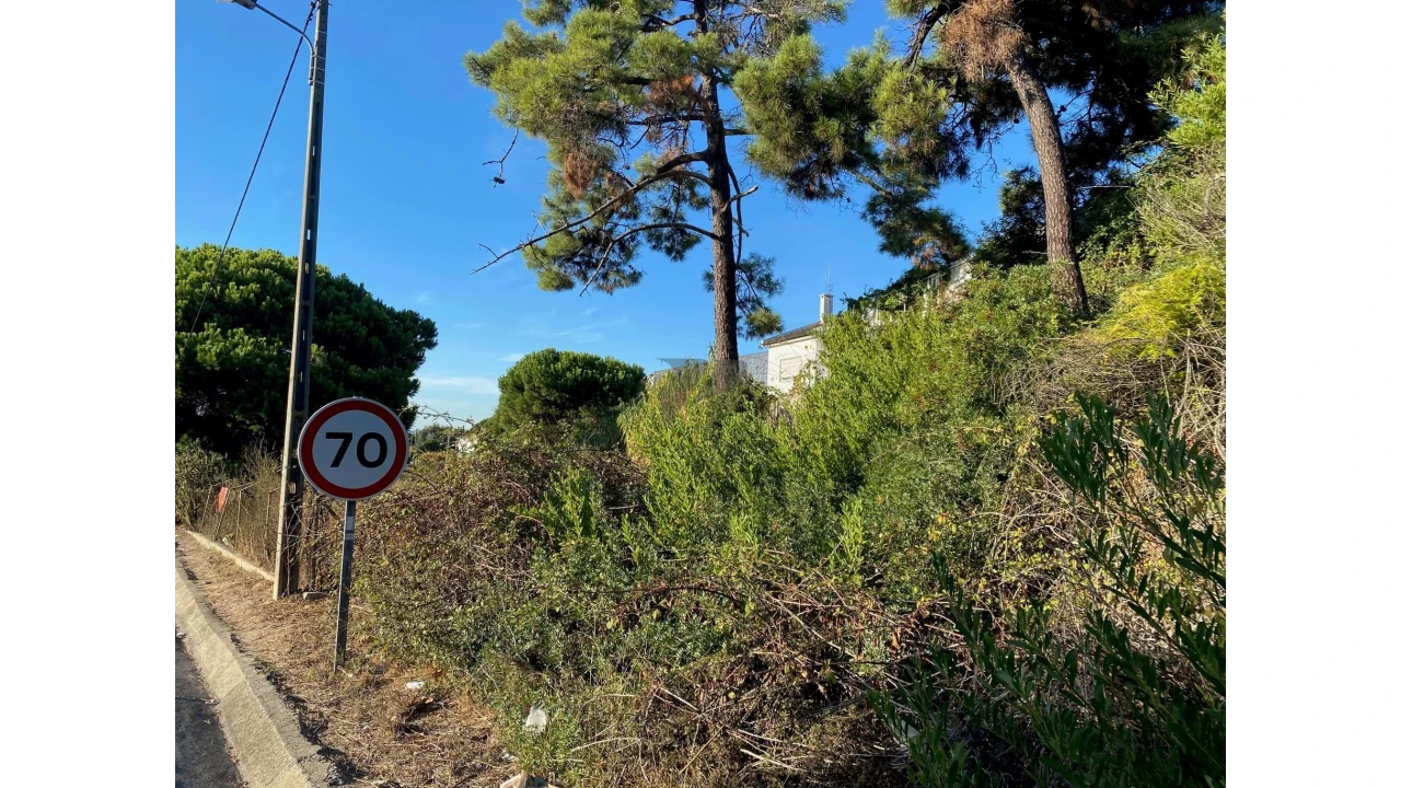 Terreno para Venda em Amora Foto 7