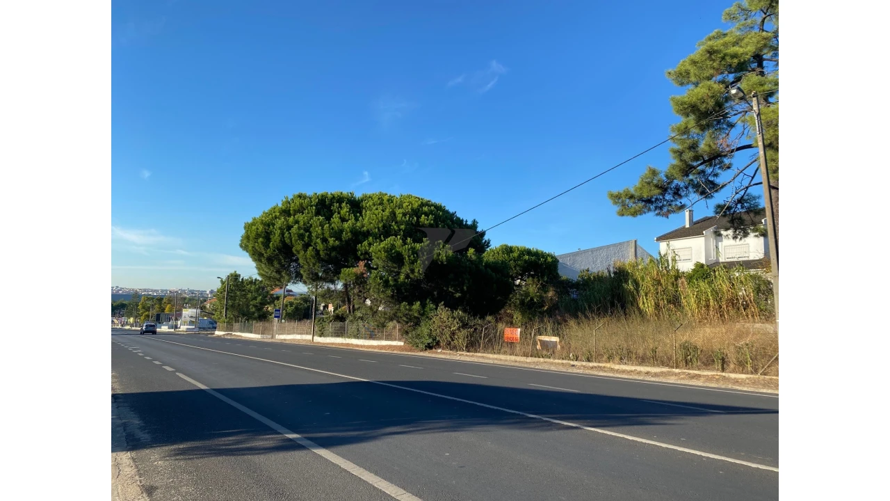 Terreno para Venda em Amora Foto 36