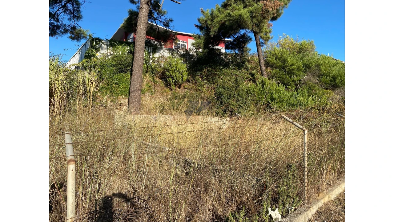 Terreno para Venda em Amora Foto 10