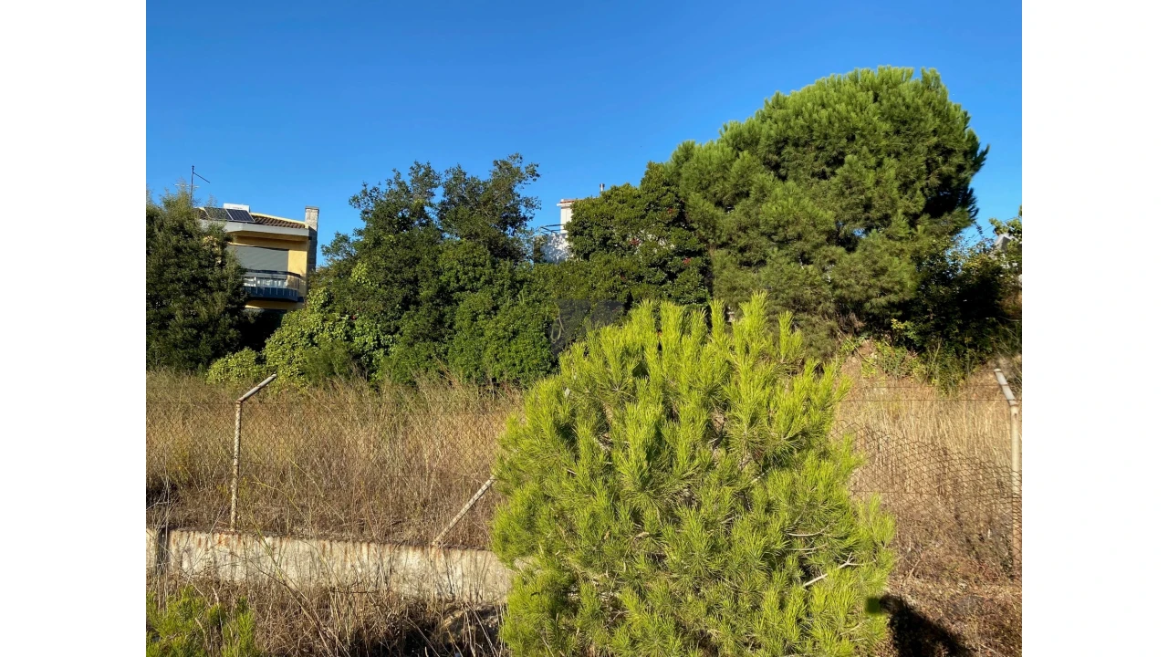 Terreno para Venda em Amora Foto 14