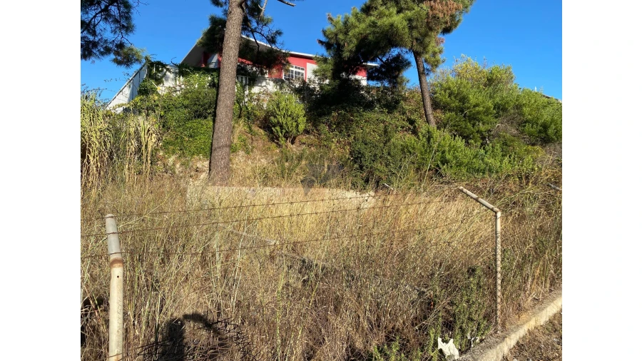 Terreno para Venda em Amora Foto 10