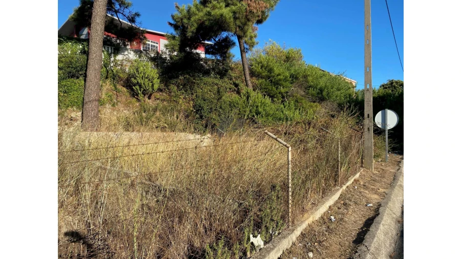 Terreno para Venda em Amora Foto 11