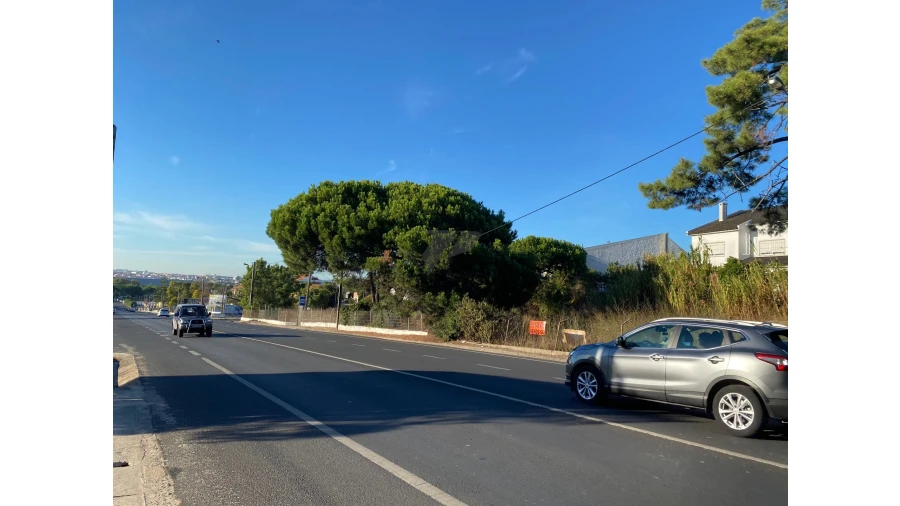 Terreno para Venda em Amora Foto 35