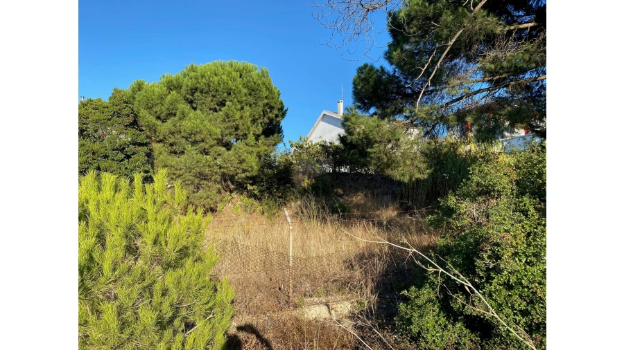 Terreno para Venda em Amora Foto 13