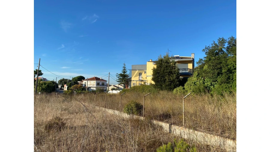 Terreno para Venda em Amora Foto 16