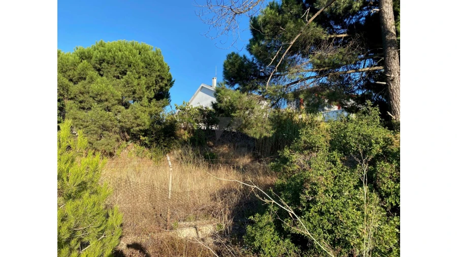 Terreno para Venda em Amora Foto 12