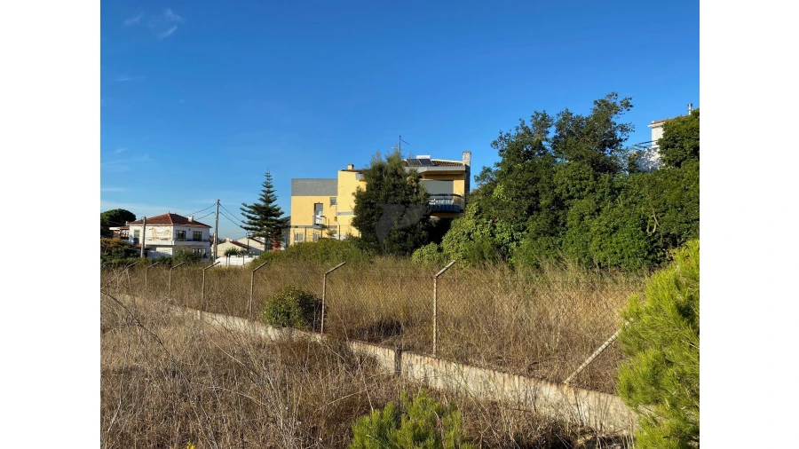 Terreno para Venda em Amora Foto 15