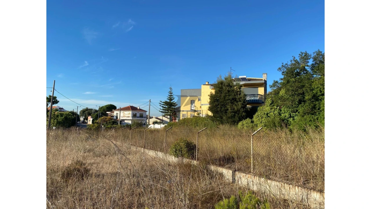 Terreno para Venda em Amora Foto 16